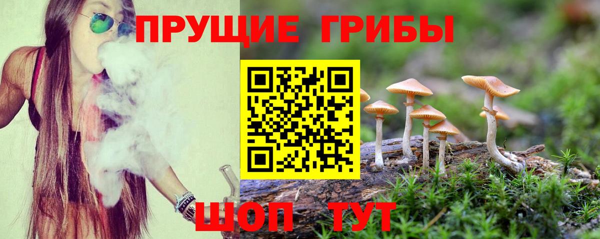 Галлюциногенные грибы MAGIC MUSHROOMS Кашира