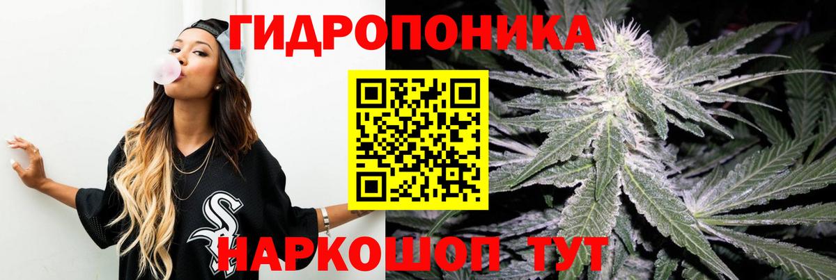 МАРИХУАНА Кашира